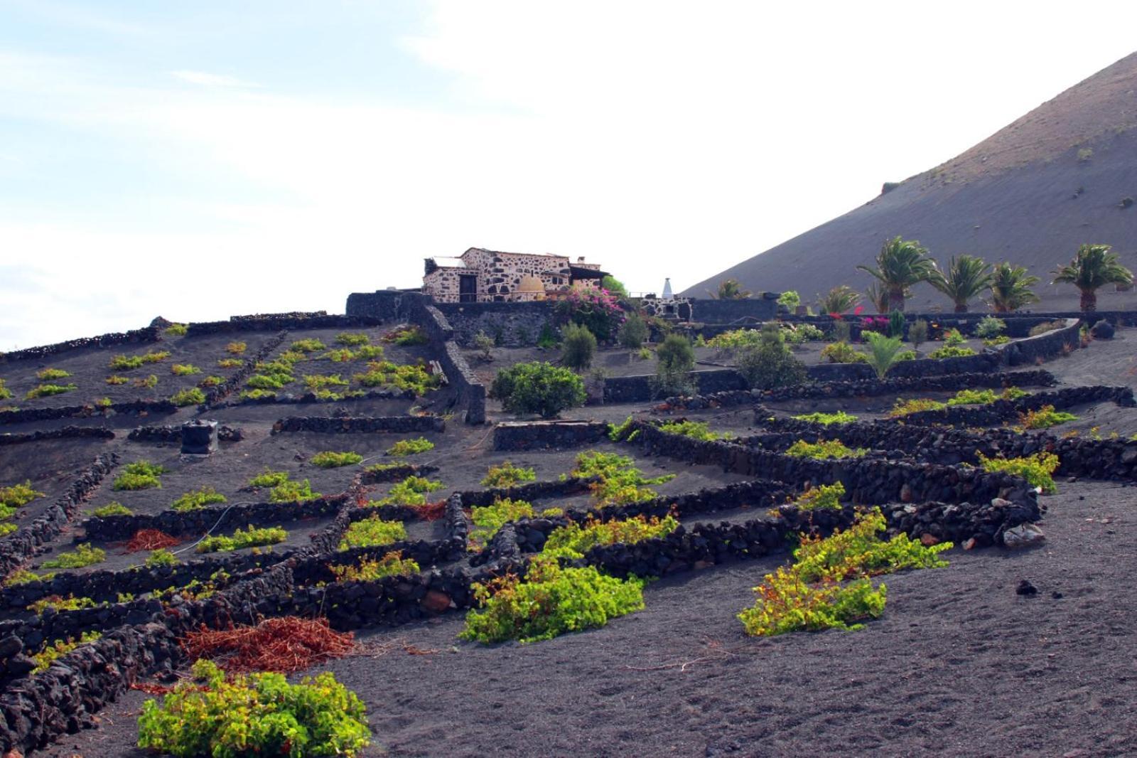 Casa Rural Vega De Timanfaya Uga Buitenkant foto
