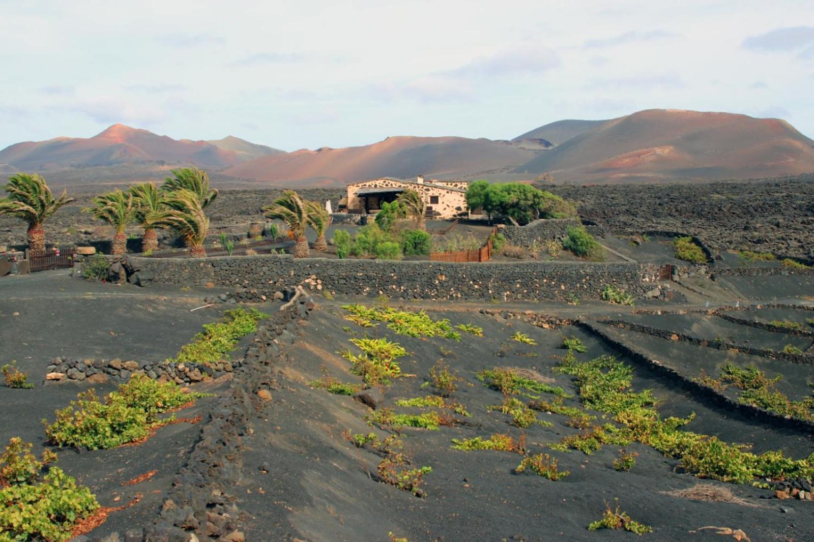 Casa Rural Vega De Timanfaya Uga Buitenkant foto